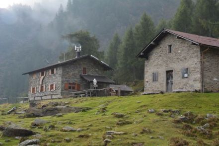 Campo estivo per famiglie con il Mir all'Alpe Scoggione